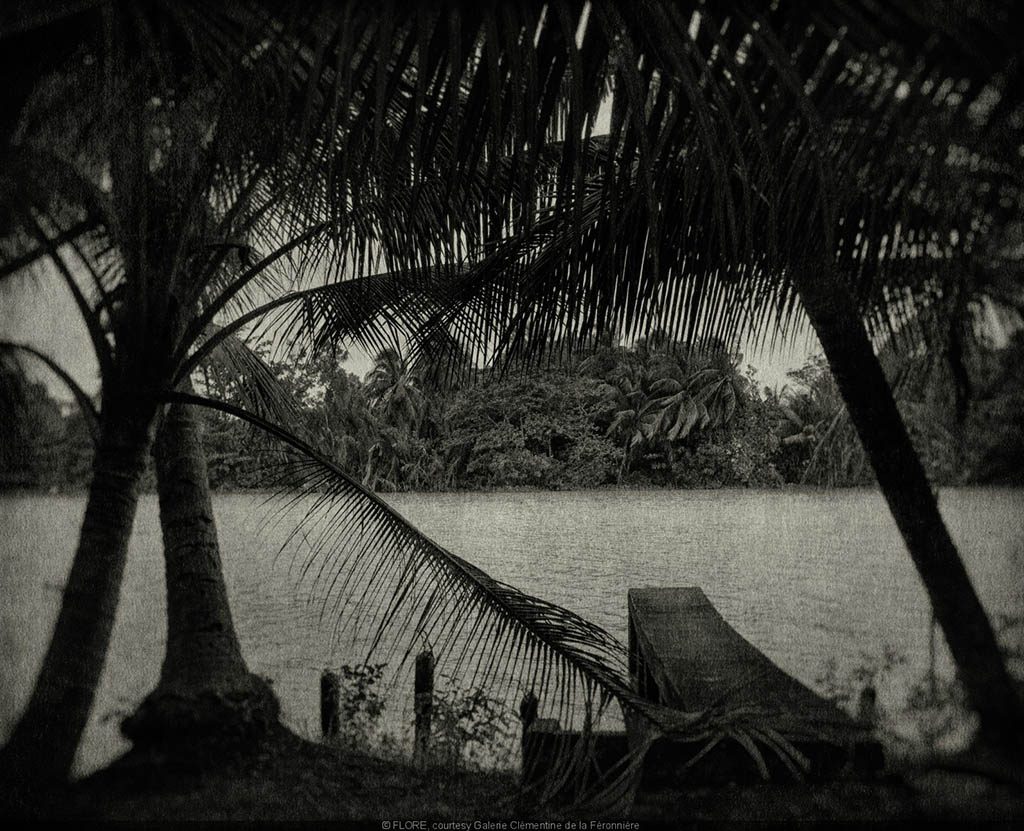 581106-l-odeur-de-la-nuit-etait-celle-du-jasmin-l-expo-photo-a-l-academie-des-beaux-art copie