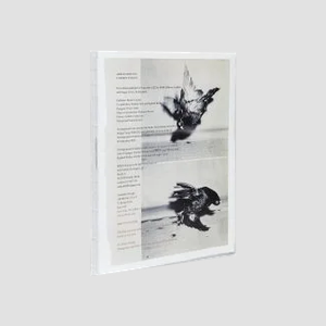 Carmen Winant Arrangements, livre composé de pages assemblant des photographies et des récits autour de sujets variés.