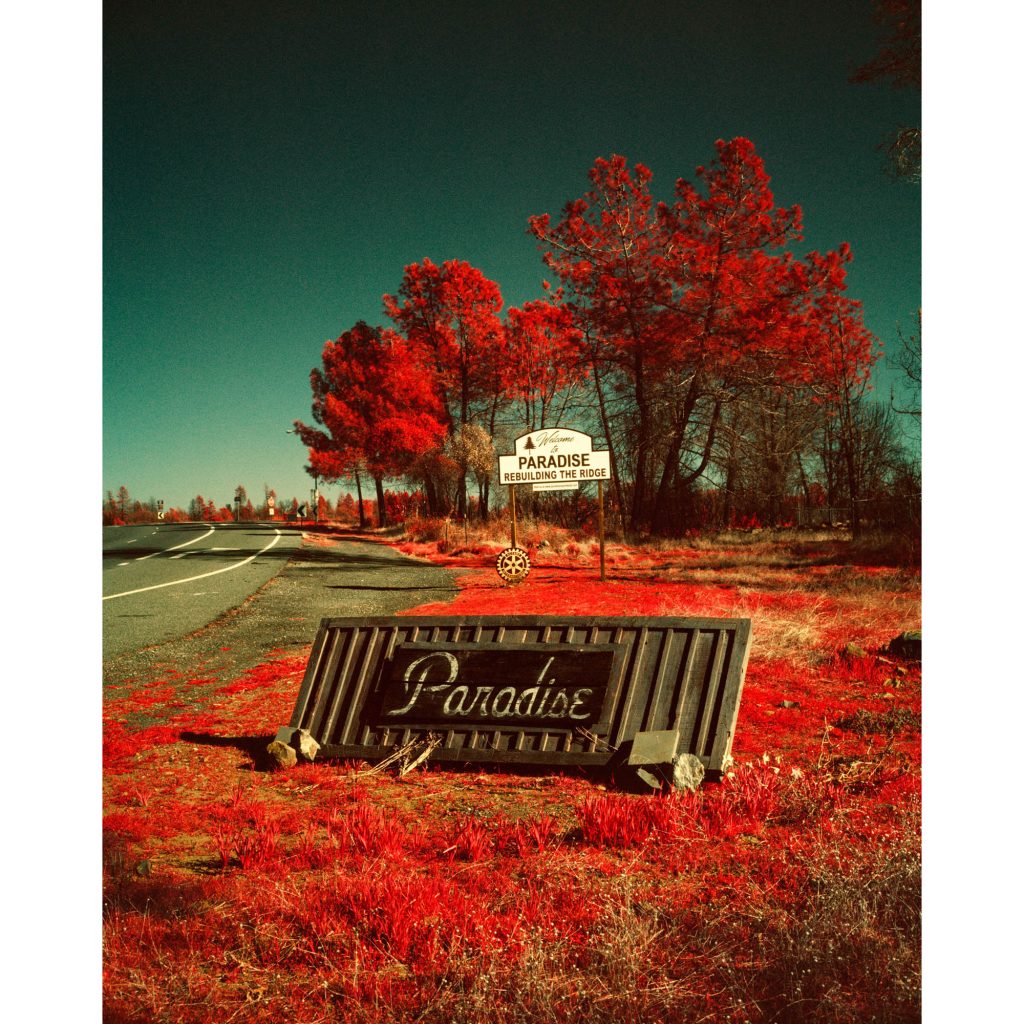 Maxime-Riche-Paradise-04