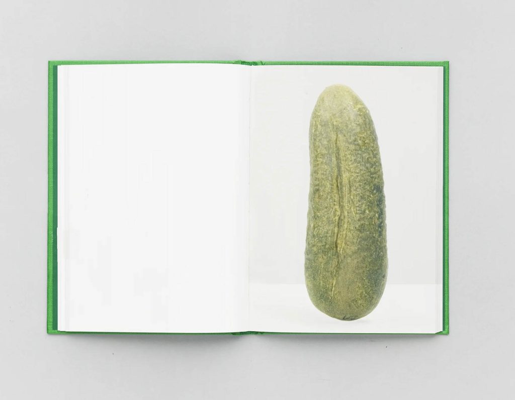 RVB_PICKLES_14_3024x copie