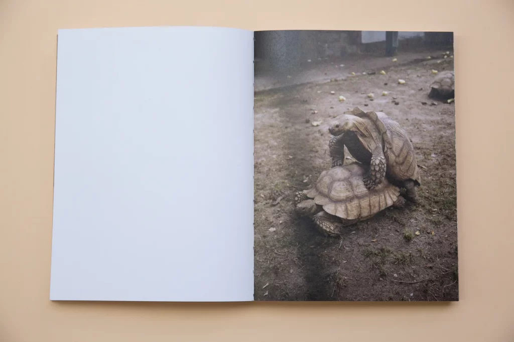 Sorry-I-Gave-Birth-Andy-Galdi-Vinko-3