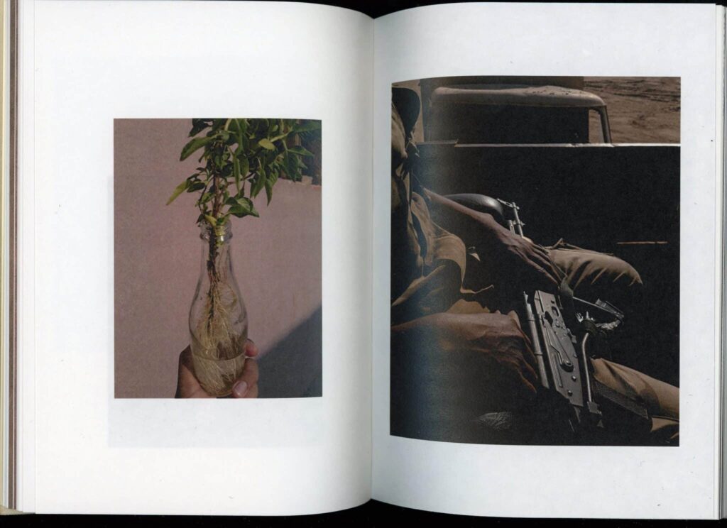 the-dog-sat-2-scaled-2