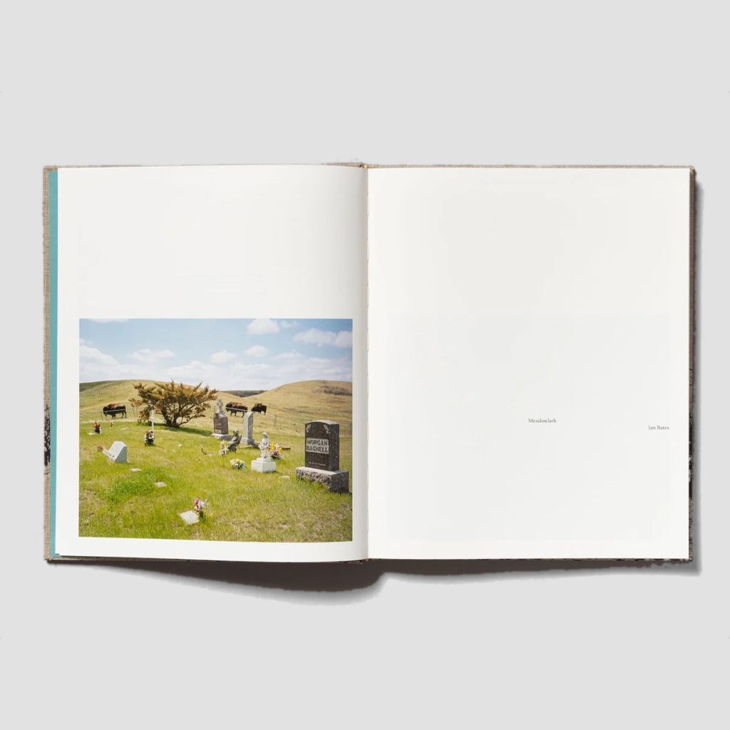 Ian_04_fond_gris (1)